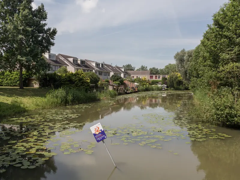 Vijver met waterlelies en rijtjeswoningen aan de Boshovenstraat in De Laar