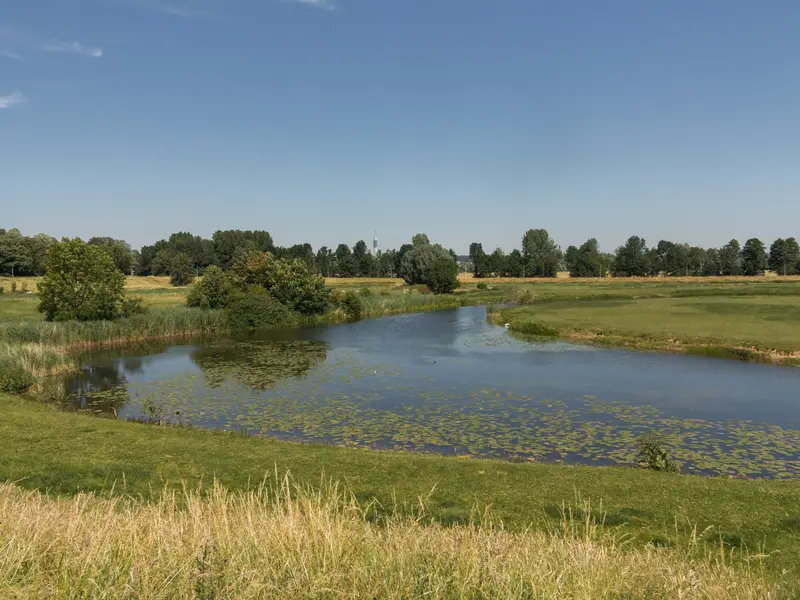 Het water Het Hoefijzer in het open polderlandschap bij Elden
