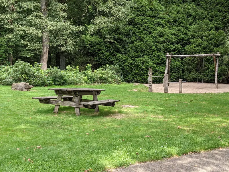 Houten speeltoestellen en een picknicktafel op het gras in park Gulden Bodem